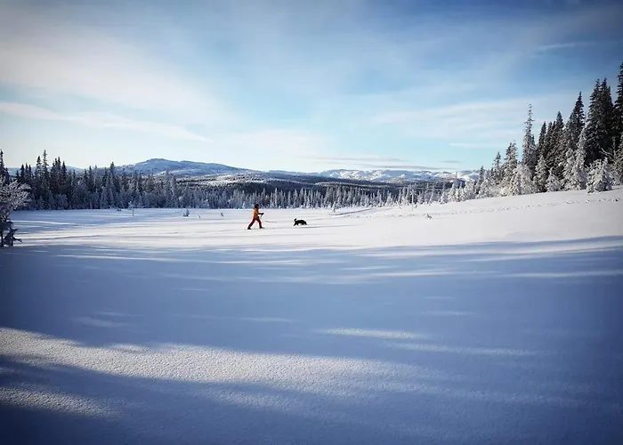 Koeja Fjaellhotell